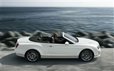 Bentley Continental Supersports Convertible - 2010 賓利 #31