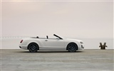 Bentley Continental Supersports Cabrio - 2010 HD tapetu #33