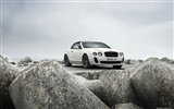 Bentley Continental Supersports Convertible - 2010 賓利 #35