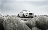 Bentley Continental Supersports Convertible - 2010 賓利 #36