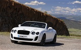 Bentley Continental Supersports Convertible - 2010 HD обои #37