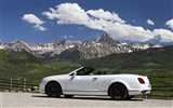 Bentley Continental Supersports Convertible - 2010 賓利 #38