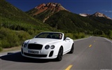 Bentley Continental Supersports Cabrio - 2010 HD tapetu #39
