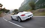 Porsche Boxster Spyder - 2010 HD обои #8
