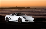 Porsche Boxster Spyder - 2010 fonds d'écran HD #13