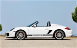 Porsche Boxster Spyder - 2010 fondos de escritorio de alta definición #19