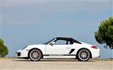 Porsche Boxster Spyder - 2010 fondos de escritorio de alta definición #20