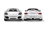 Porsche Boxster Spyder - 2010 HD обои #27