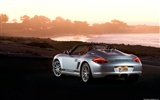 Porsche Boxster Spyder - 2010 fondos de escritorio de alta definición #35