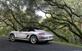 Porsche Boxster Spyder - 2010 fondos de escritorio de alta definición #38