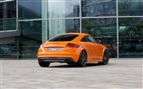 Audi TTS Coupé - 2010 fondos de escritorio de alta definición #6