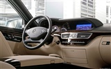 Mercedes-Benz S350 BlueEFFICIENCY BlueTEC - 2010 fonds d'écran HD #14