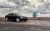 Chrysler 300 - 2011 HD tapetu #9