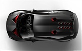 Lamborghini Concept Car Sesto Elemento - 2010 fondos de escritorio de alta definición #4