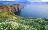 Красивые пейзажи Ирландии обои #5