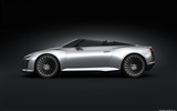 Concept Car Audi e-tron Spyder - 2010 奥迪4