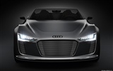 Concept Car Audi e-tron Spyder - 2010 HD Wallpaper #9