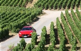 Maserati GranTurismo - 2010 fondos de escritorio de alta definición #25