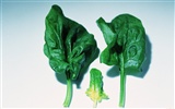 壁紙緑の野菜 #22
