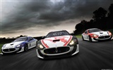 Maserati GranTurismo 엠씨 Stradale - 2010의 HD 벽지 #6