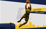 NBA Indiana Pacers 2010-11 sezóna na plochu #2