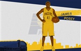 NBA Indiana Pacers 2010-11 sezóna na plochu #12