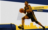 NBA Indiana Pacers 2010-11 sezóna na plochu #14