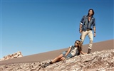 Бразильский бренд Damyller 2011 летом объявлений #12