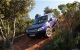 Land Rover Freelander 2-2011 HD wallpaper #11