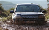 Land Rover Freelander 2-2011 HD papel tapiz #15