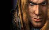 Мир Warcraft HD Альбом обои (2) #2
