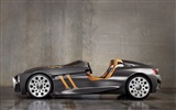 Special edition of concept cars wallpaper (23) #5