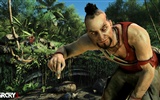 Far Cry 3 fonds d'écran HD #4