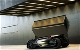 Special edition of concept cars wallpaper (25) #14