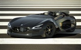 Special edition of concept cars wallpaper (25) #17
