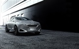Special edition of concept cars wallpaper (26) #2