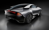 Special edition of concept cars wallpaper (26) #20