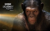 Rise of the Planet of the Apes wallpapers
