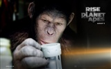 Rise of the Planet of Apes les fonds d'écran #3