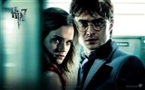 2011 Гарри Поттер и Дары Смерти HD обои #3