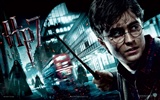 2011 Harry Potter a Relikvie smrti HD tapety na plochu #8