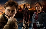 2011 Гарри Поттер и Дары Смерти HD обои #9