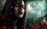 2011 Гарри Поттер и Дары Смерти HD обои #10