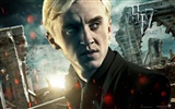 2011 Гарри Поттер и Дары Смерти HD обои #11