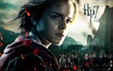 2011 Harry Potter und die Heiligtümer des Todes HD Wallpaper #12