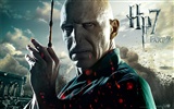 2011 Harry Potter and the Deathly Hallows HD wallpapers #16