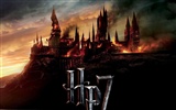 2011 Harry Potter und die Heiligtümer des Todes HD Wallpaper #17