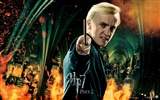 2011 Harry Potter und die Heiligtümer des Todes HD Wallpaper #19