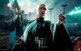 2011 Harry Potter and the Deathly Hallows HD wallpapers #21