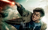 2011 Harry Potter and the Deathly Hallows HD wallpapers #22